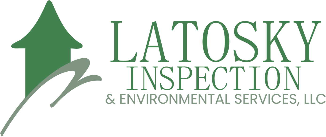 A black and green logo for laton inspections